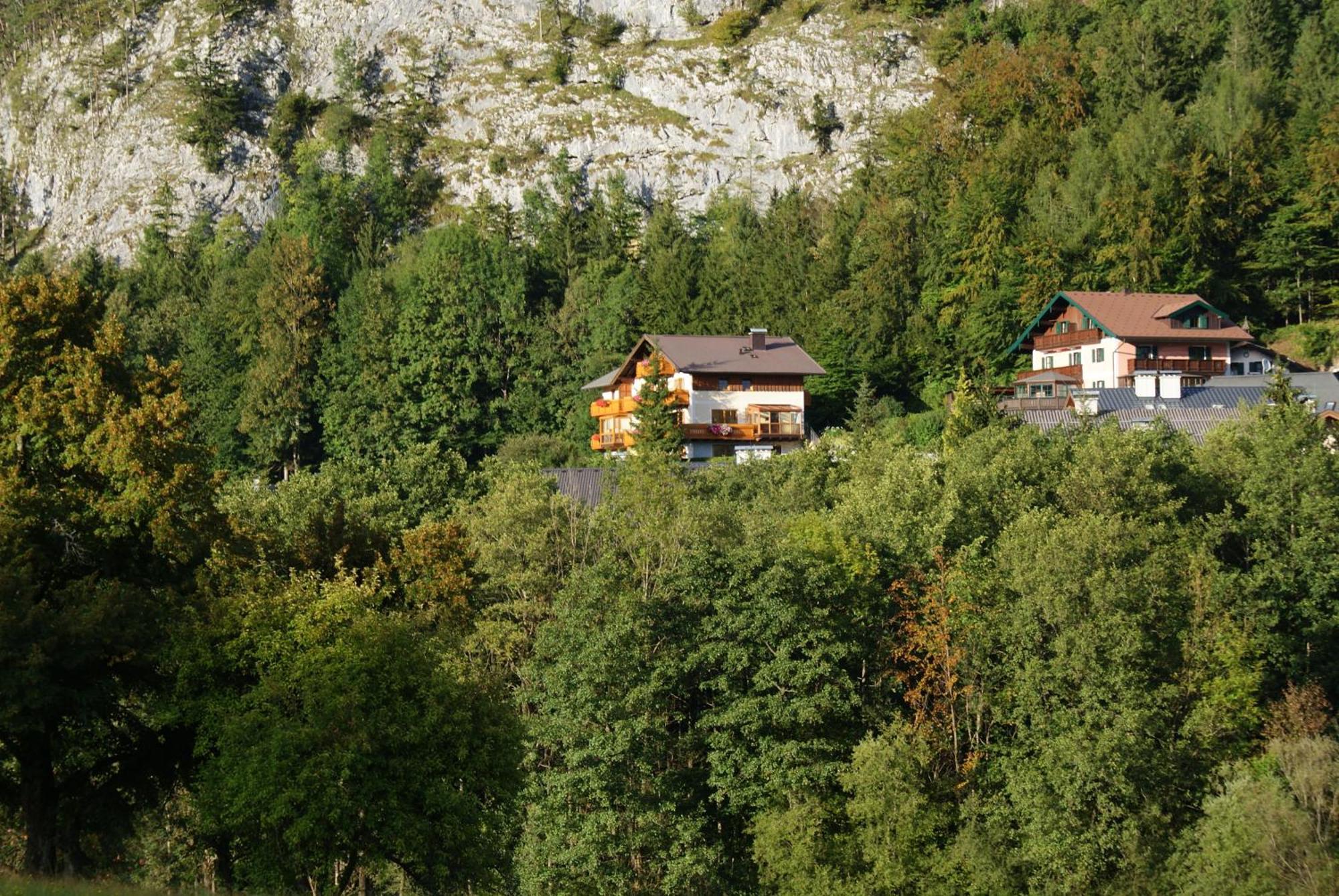 Haus Meissnitzer フシュル・アム・ゼー エクステリア 写真